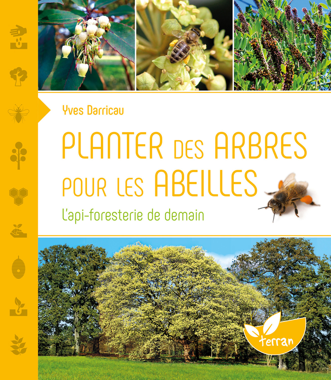 Planter des arbres pour les abeilles - L'api-foresterie de demain