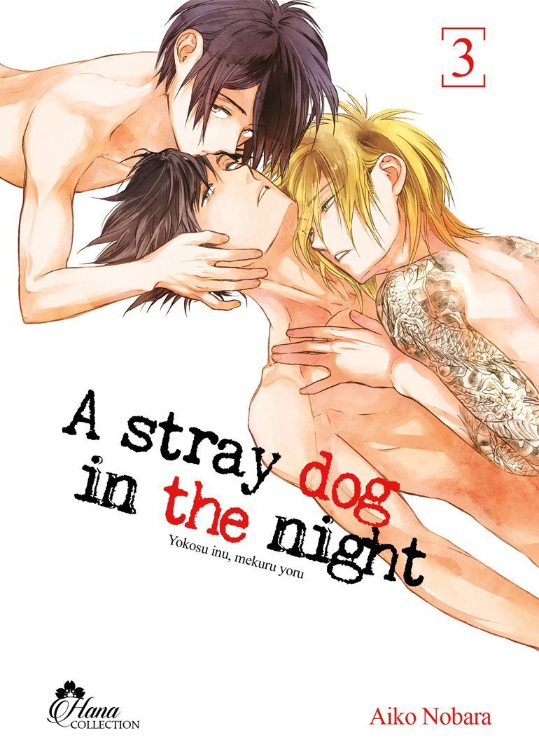 Stray Dog in the night - Tome 03