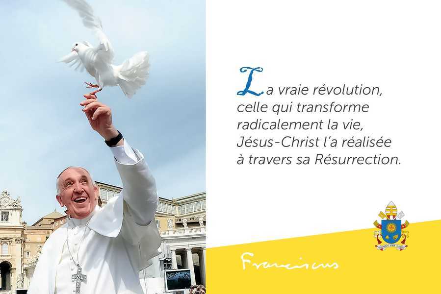 PF082 - Carte postale - Pape François -  La vrai révolution, ...