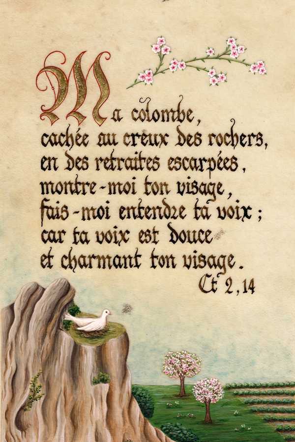EL204 - Carte postale - Enluminures - Ma colombe, cachée au creux des rochers, ...