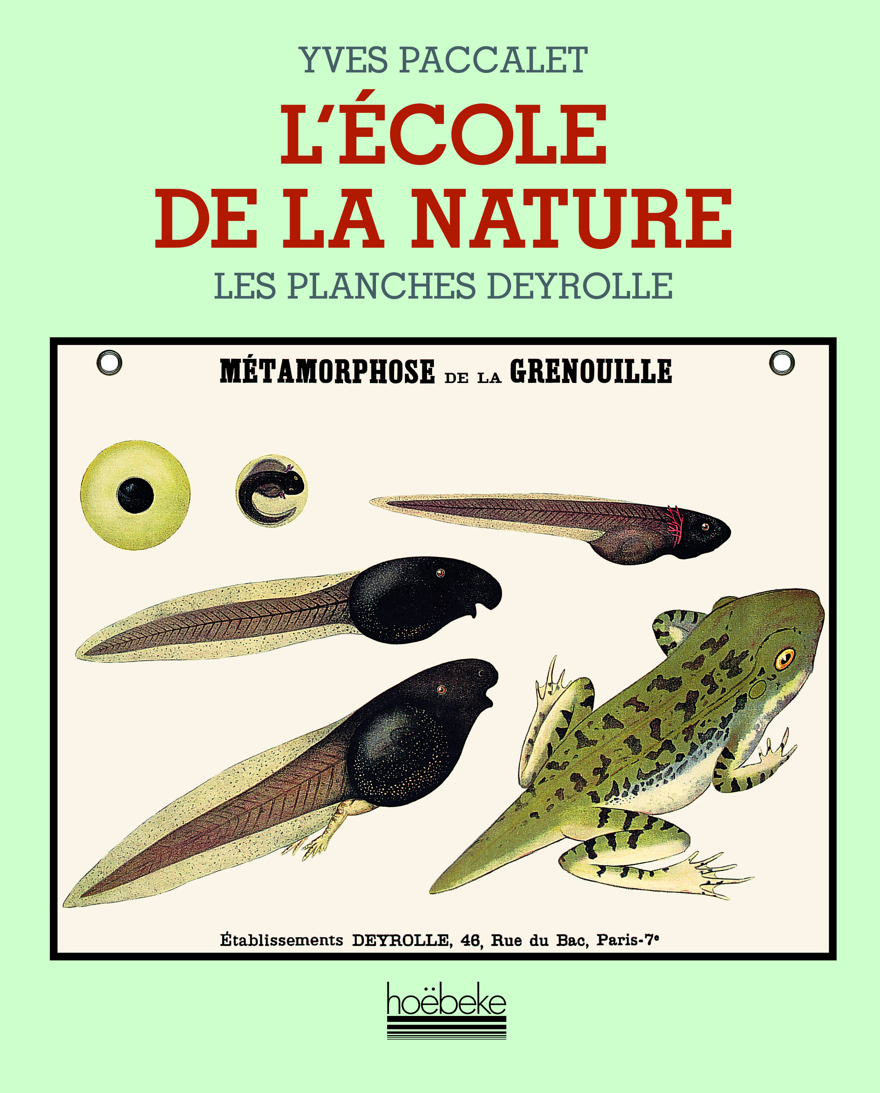 L'école de la nature