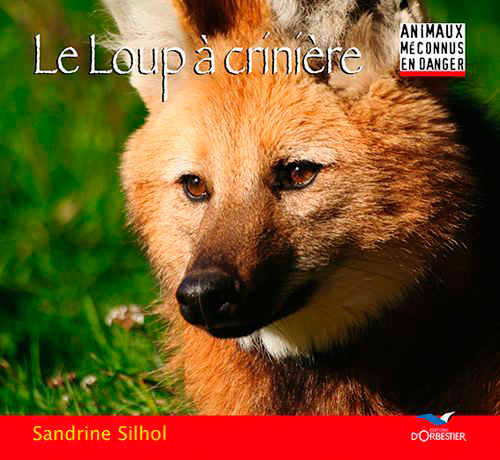 Le loup a criniere