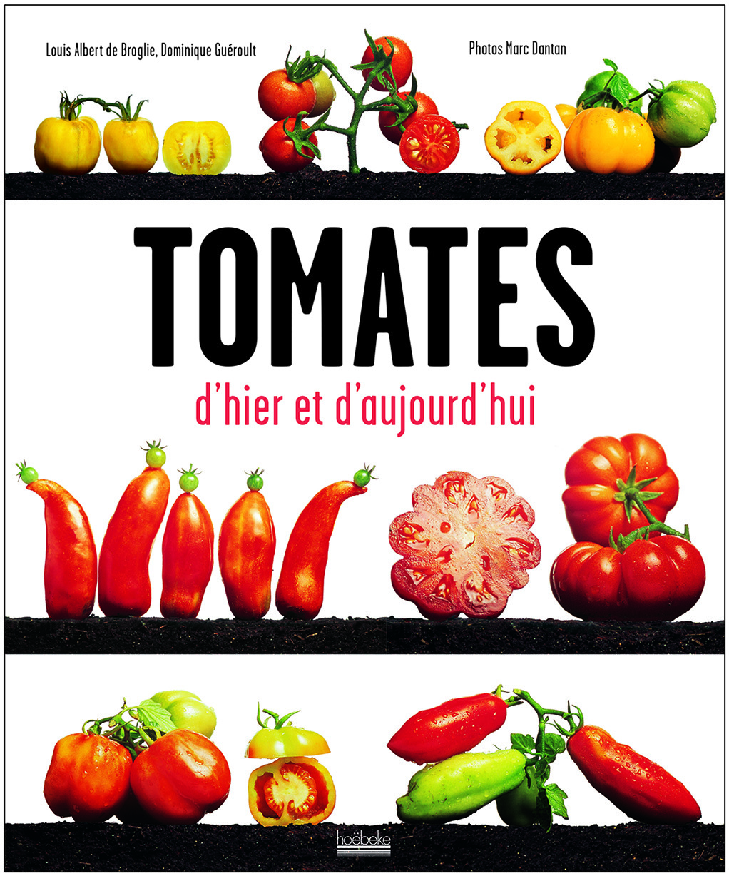 Tomates d'hier et d'aujourd'hui