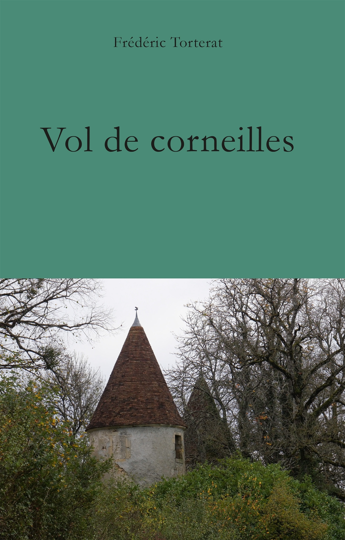 Vol de corneilles