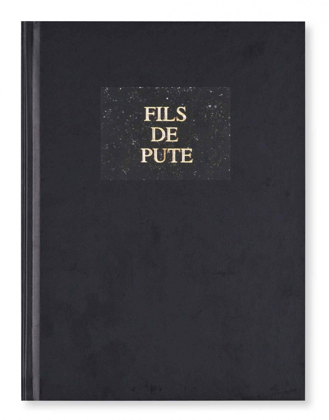 Fils de pute