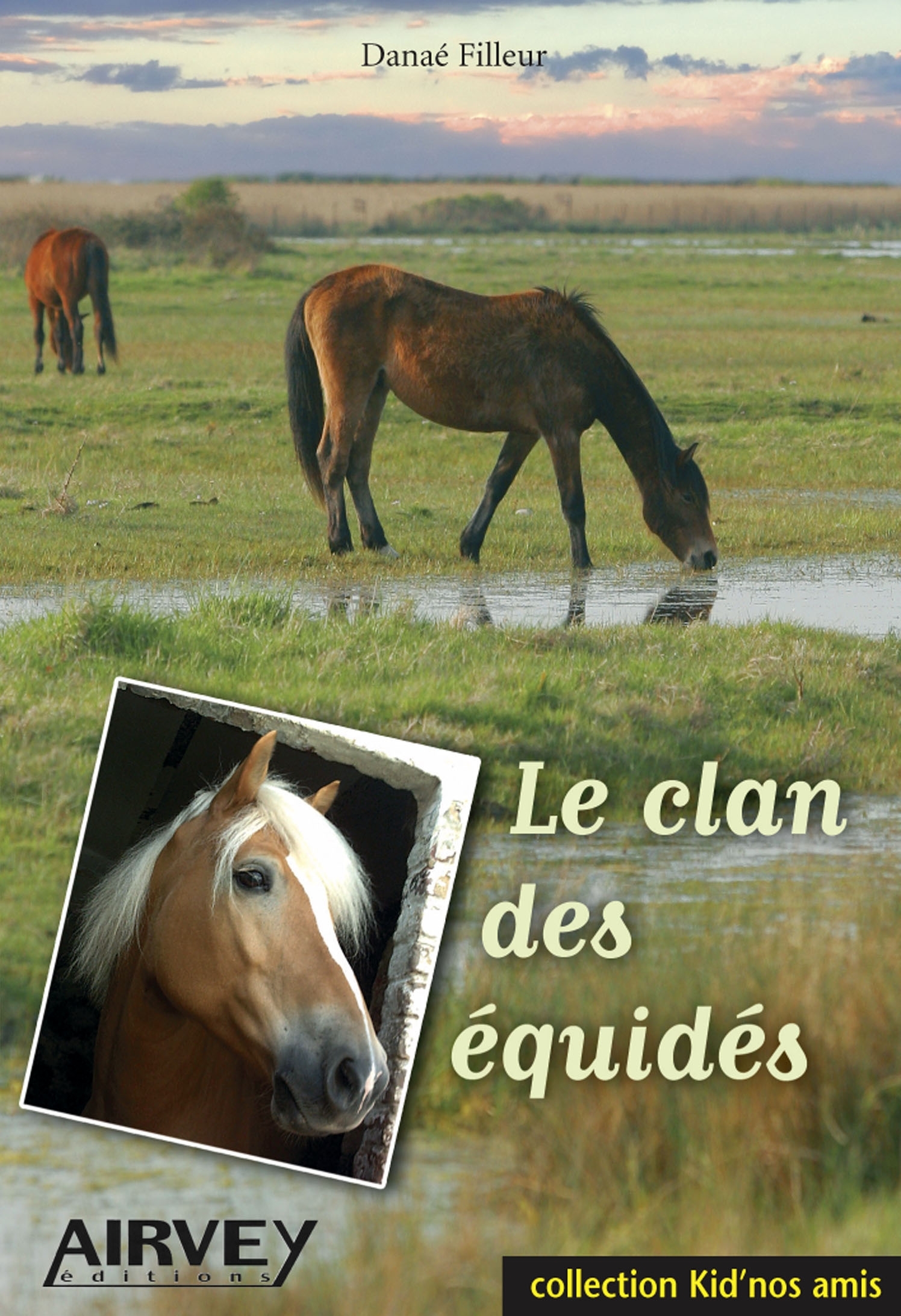 LE CLAN DES EQUIDES