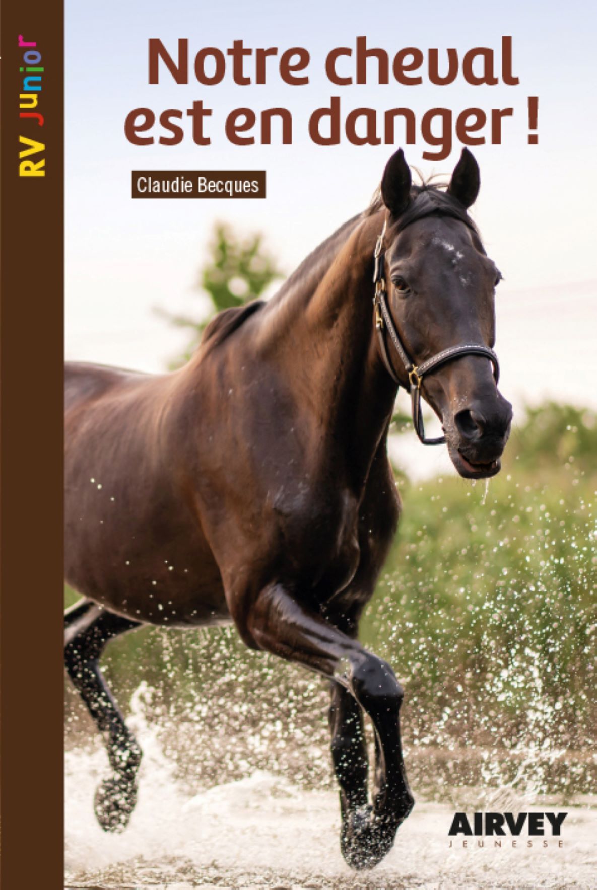 Notre cheval est en danger!