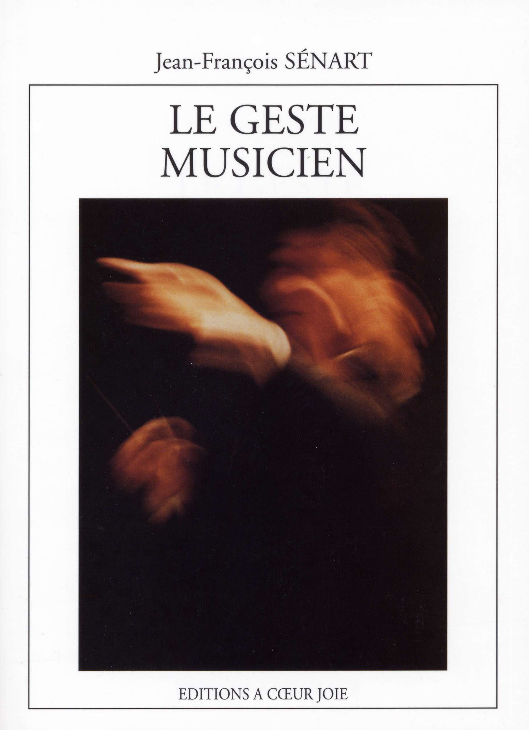 Le geste musicien