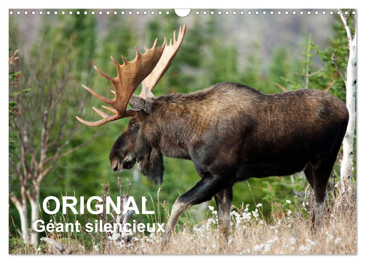 ORIGNAL. Géant Silencieux (Calendrier mural 2024 DIN A3 vertical), CALVENDO calendrier mensuel