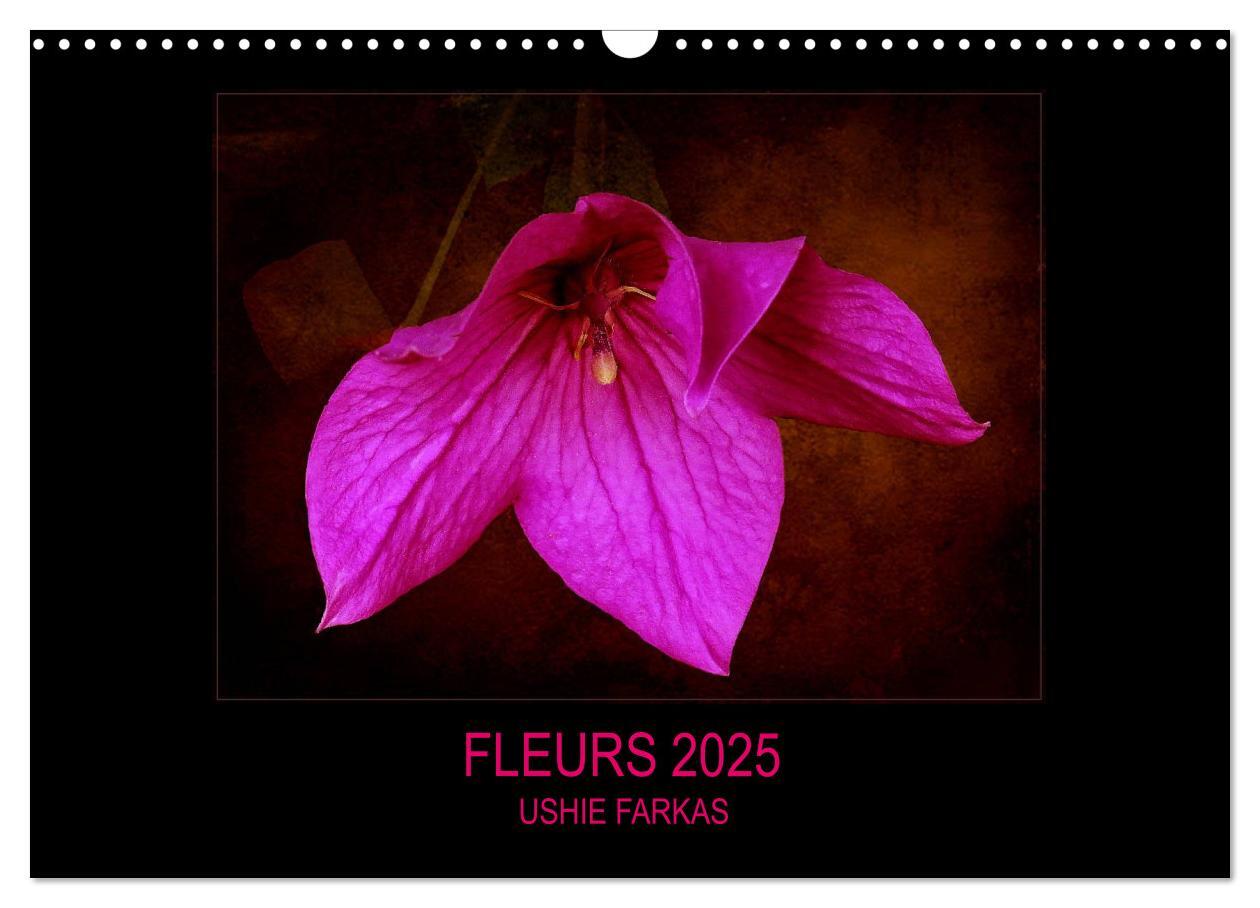 FLEURS 2025 ( FR - Version ) (Calendrier mural 2025 DIN A3 vertical), CALVENDO calendrier mensuel