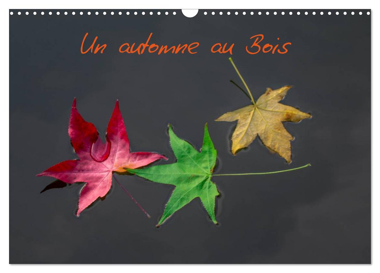 Un automne au Bois (Calendrier mural 2025 DIN A3 vertical), CALVENDO calendrier mensuel