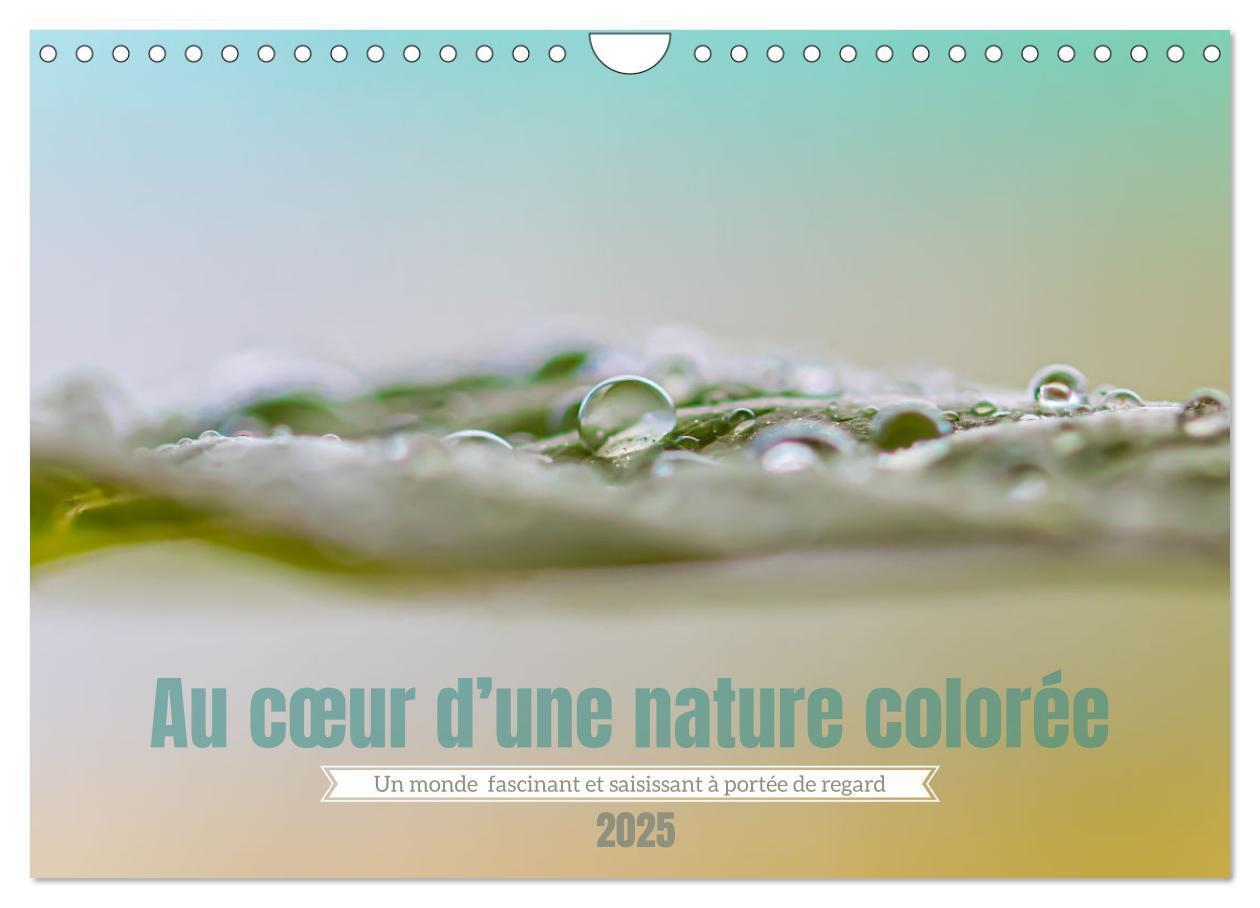 Au coeur d'une nature colorée (Calendrier mural 2025 DIN A4 vertical), CALVENDO calendrier mensuel