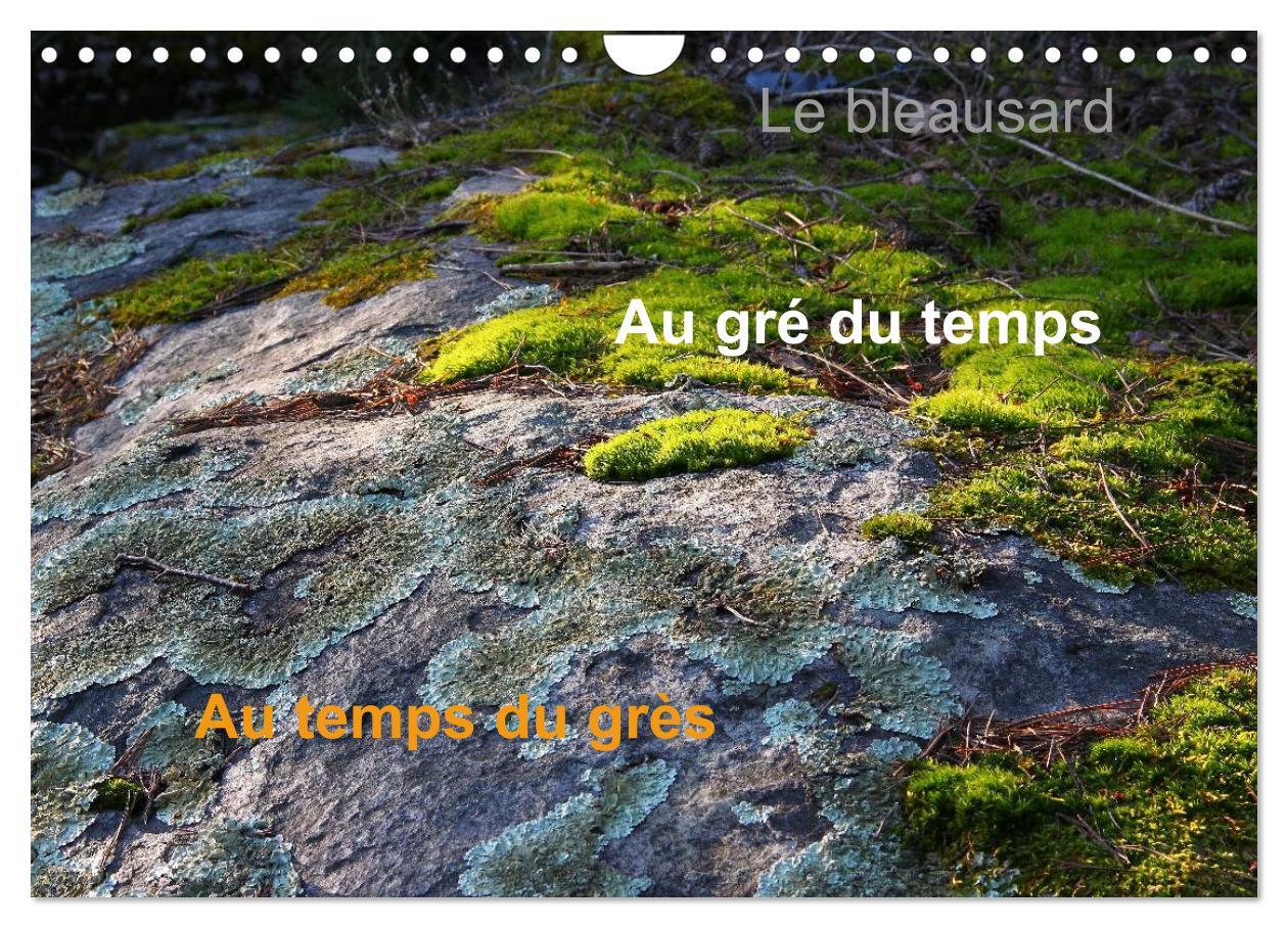 Le Bleausard (Calendrier mural 2025 DIN A4 vertical), CALVENDO calendrier mensuel