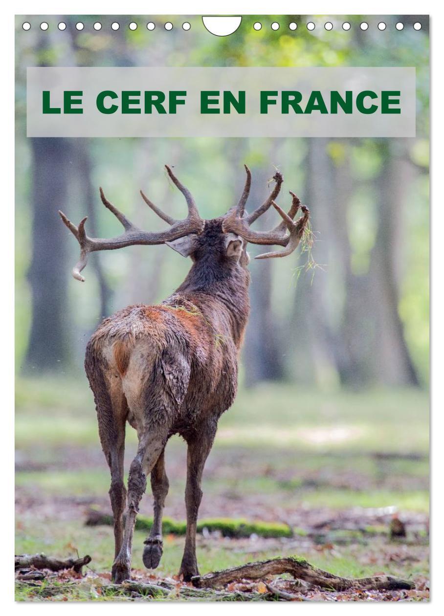 LE CERF EN FRANCE (Calendrier mural 2025 DIN A4 horizontal), CALVENDO calendrier mensuel