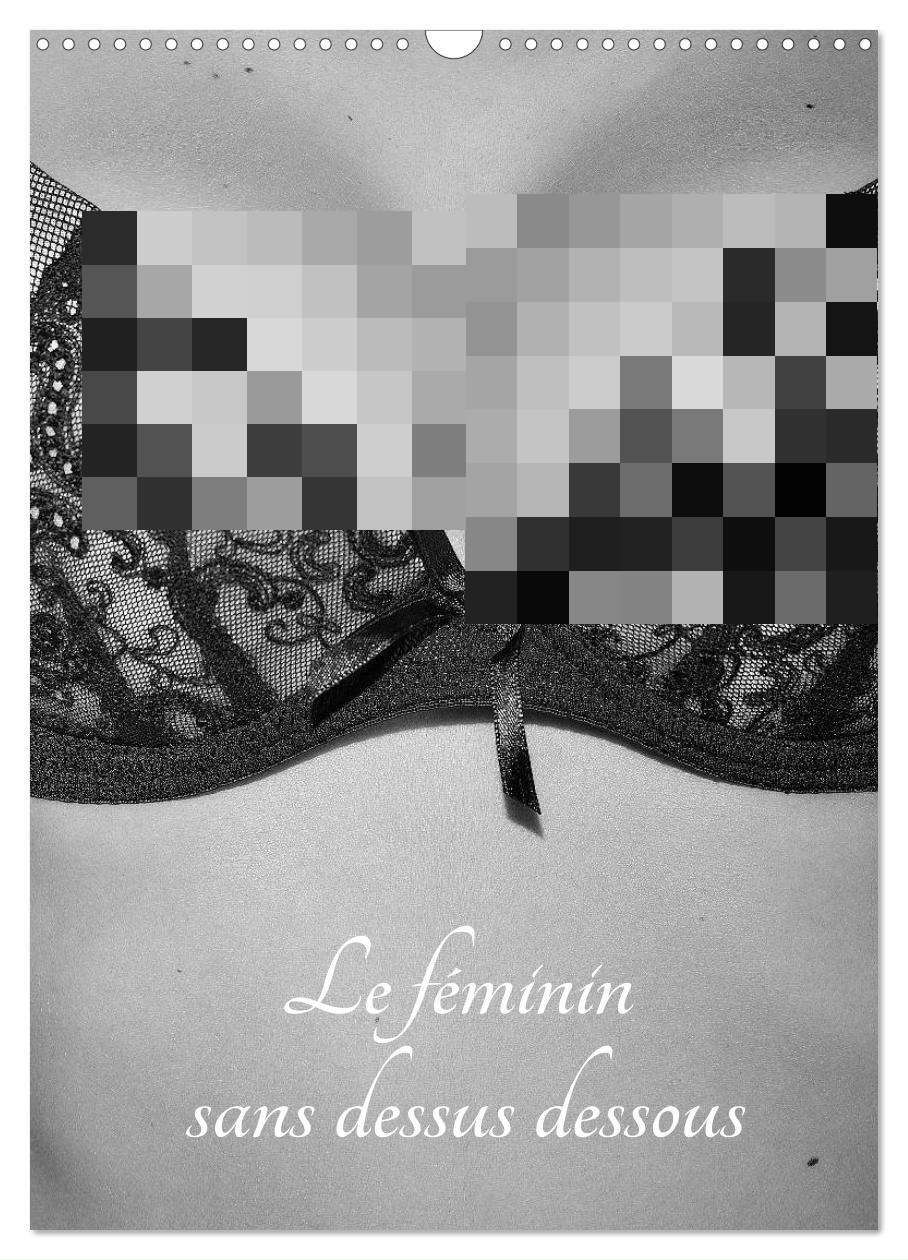 Le féminin sans dessus dessous (Calendrier mural 2024 DIN A3 horizontal), CALVENDO calendrier mensuel
