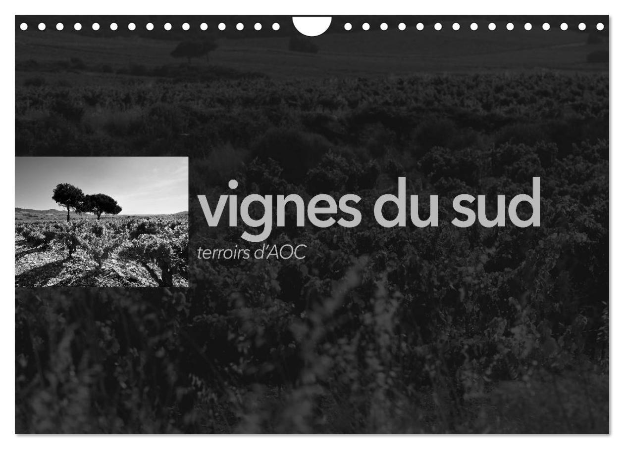 VIGNES DU SUD terroirs d'AOC (Calendrier mural 2025 DIN A4 vertical), CALVENDO calendrier mensuel