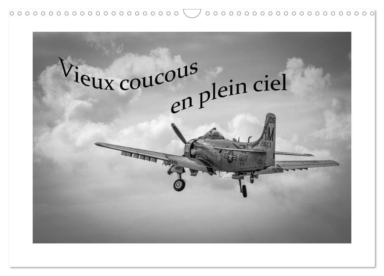 Vieux coucous en plein ciel (Calendrier mural 2025 DIN A3 vertical), CALVENDO calendrier mensuel