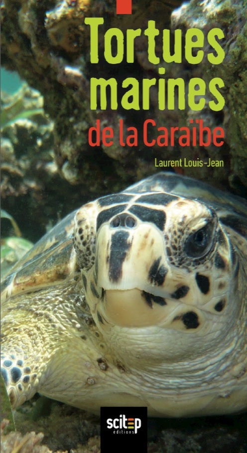 Tortues marines de la Caraïbe