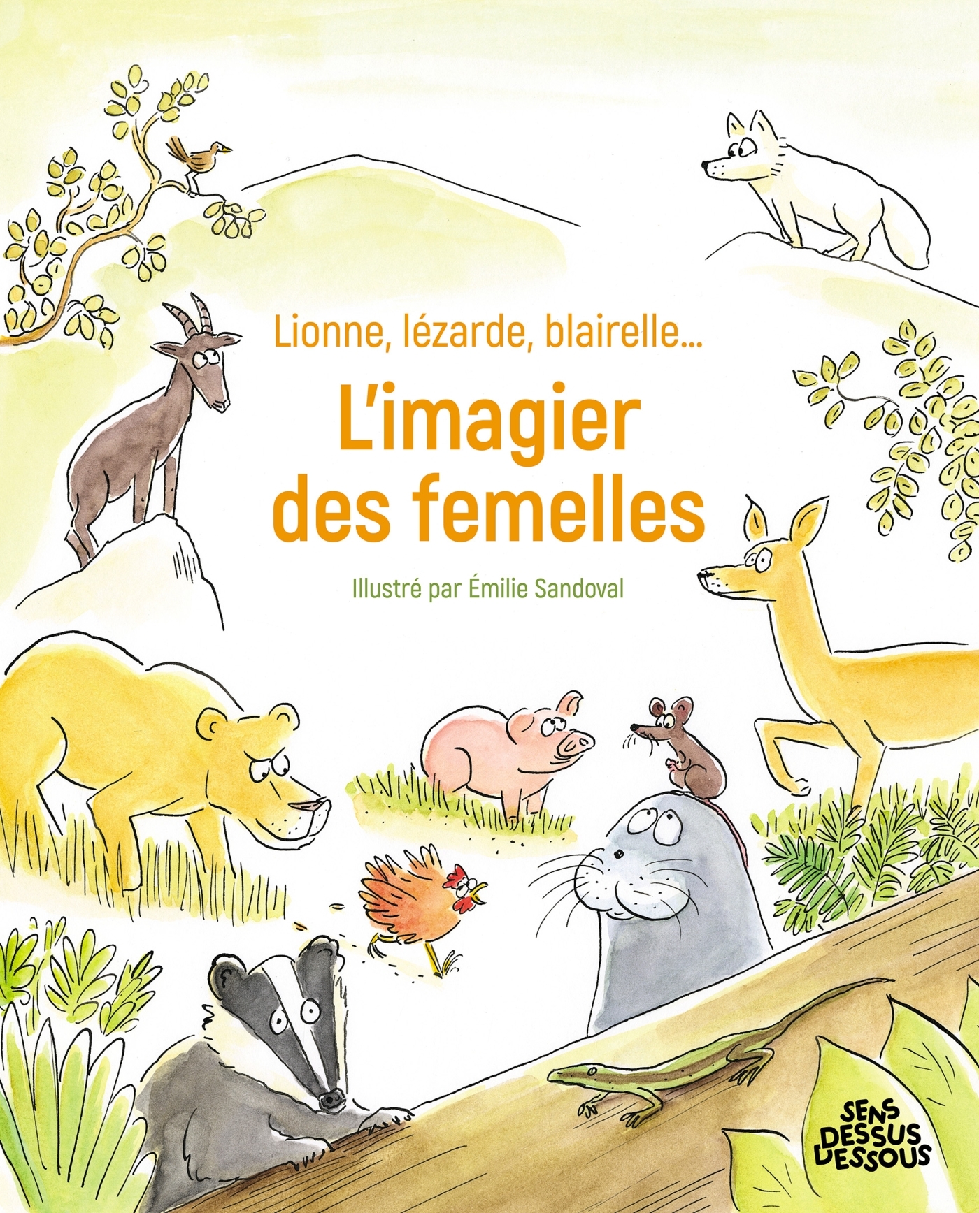 Lionne, lézarde, blairelle - L' imagier des femelles