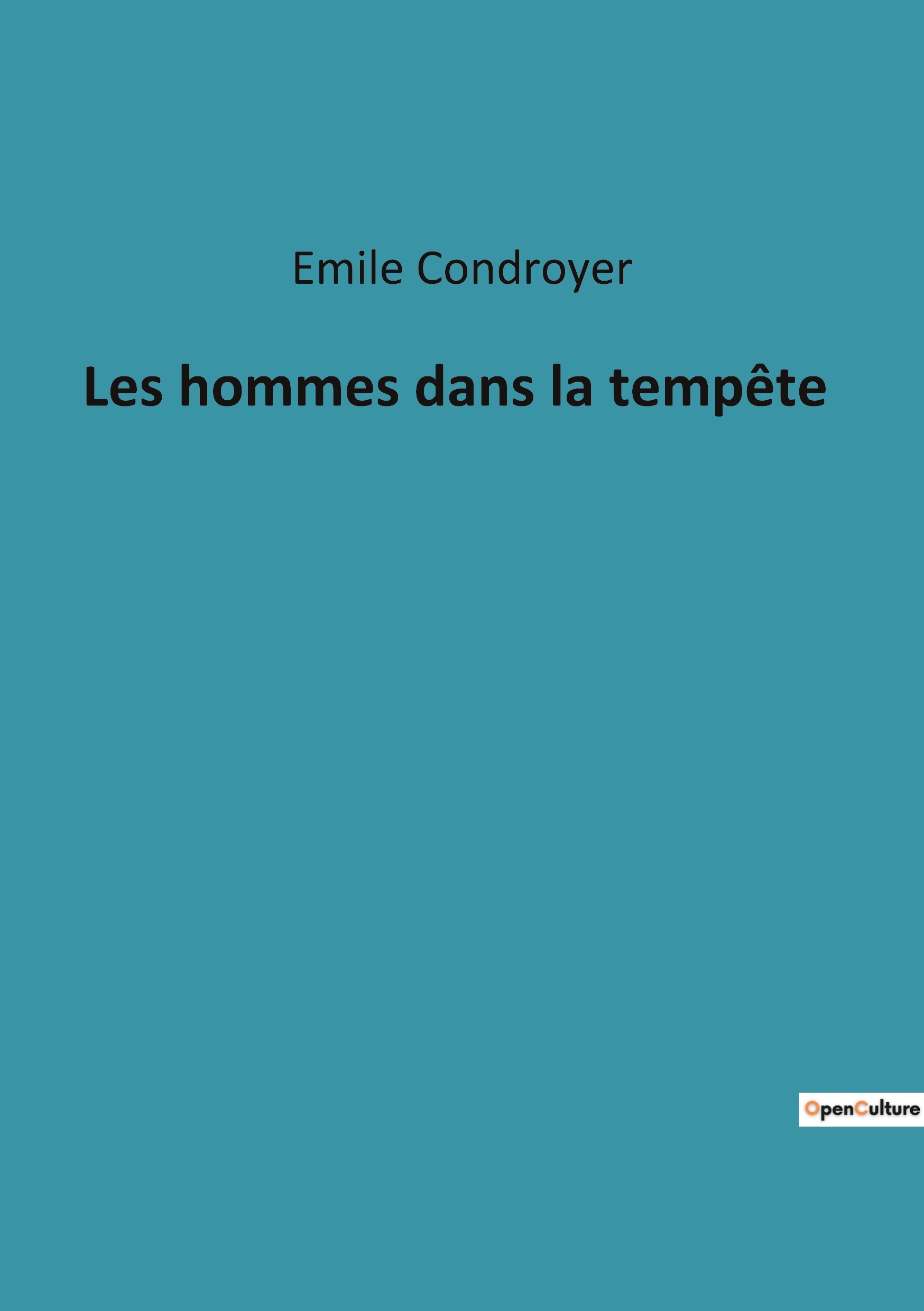 Les hommes dans la tempête