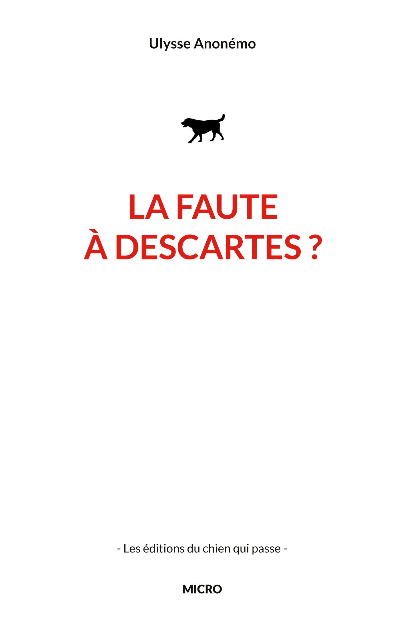 La faute à descartes ?