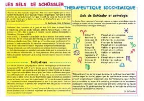 Sels de Schüssler