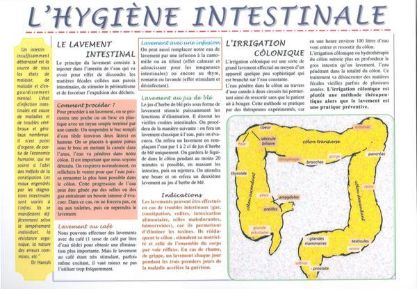 Planche Hygiène intestinale - A4