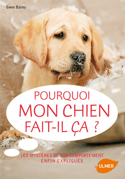 Pourquoi mon chien fait-il ça? Les mystères de son comportement enfin expliqués