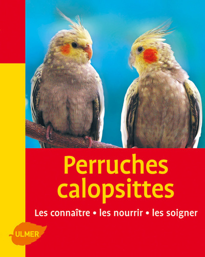 Perruches Calopsittes