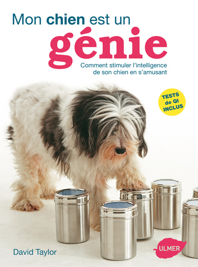 Mon chien est un génie. Comment stimuler l'intelligence de son chien en s'amusant