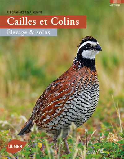 Cailles et colins. Elevage et soins