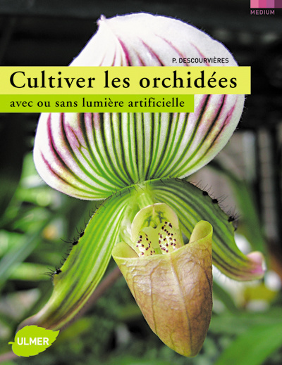 Cultiver les Orchidées en appartement ou sous lumière artificielle