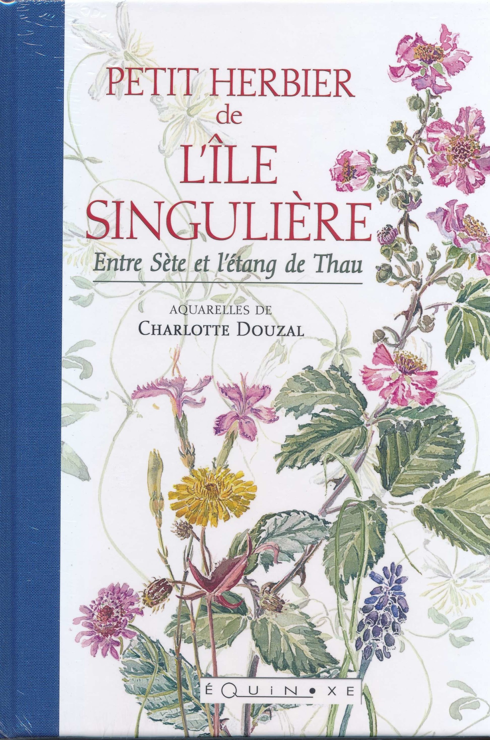 Petit herbier de l'île singulière - entre Sète et l'étang de Thau