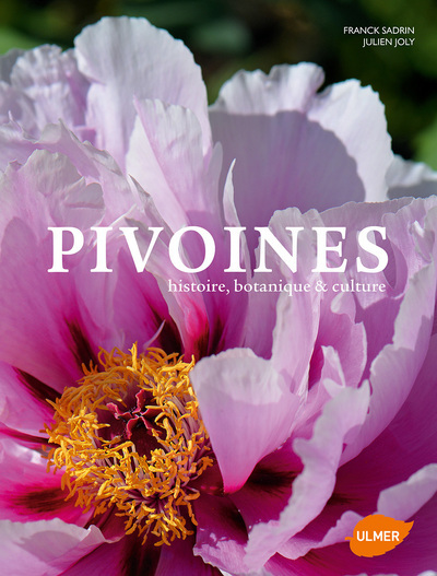 PIVOINES HISTOIRE BOTANIQUE & CULTURE