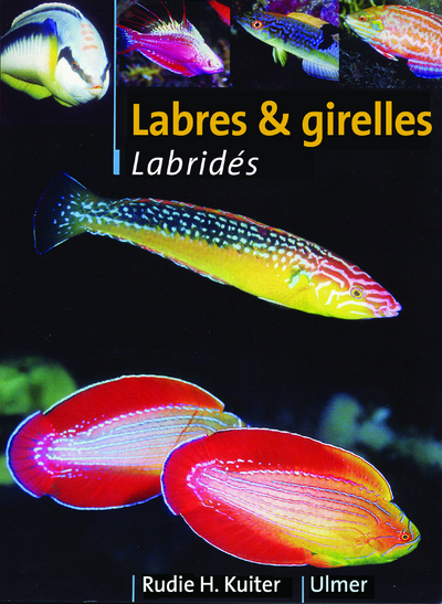 Labres & girelles