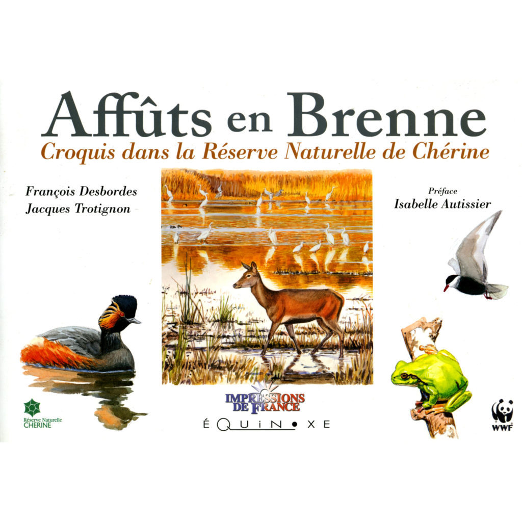 Affûts en Brenne - croquis dans la réserve naturelle de Chérine