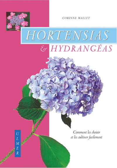Hortensias & hydrangeas