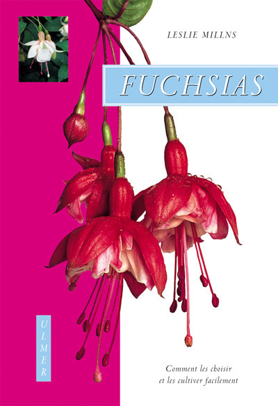 Fuchsias. Comment les choisir et les cultiver facilement