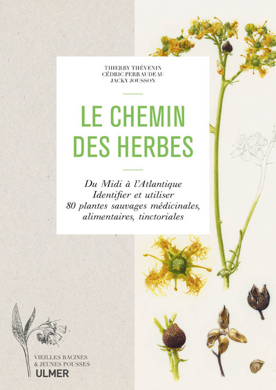 Le chemin des herbes - Du Midi à l'atlantique