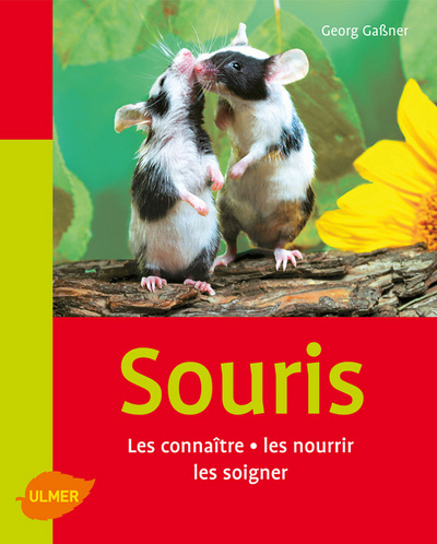 Les Souris