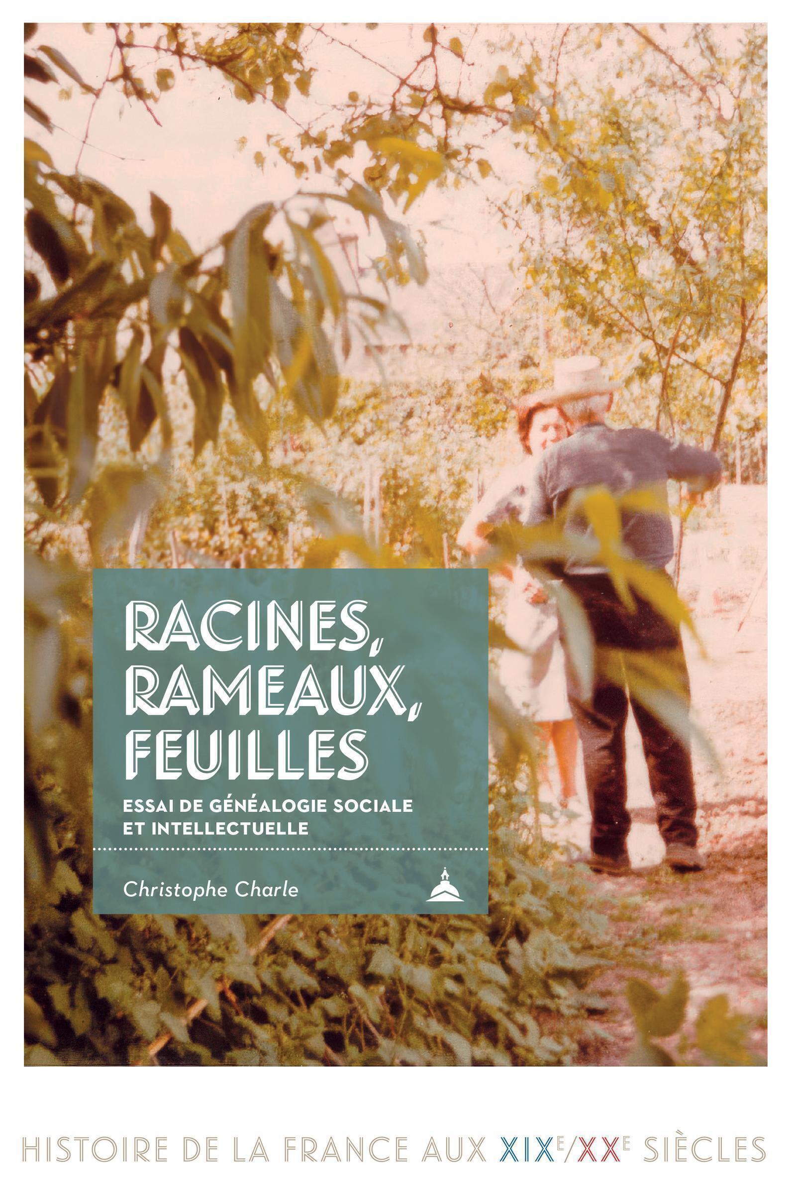 Racines, rameaux, feuilles