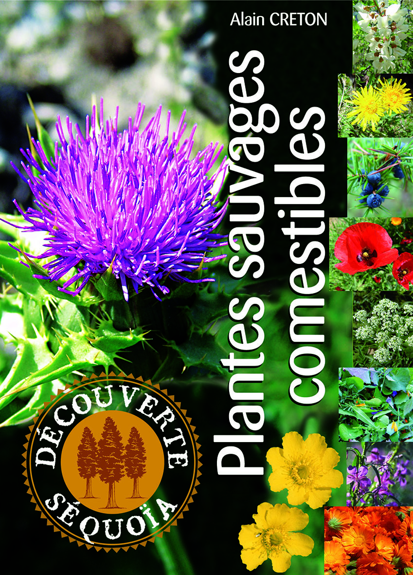 PLANTES SAUVAGES COMESTIBLES
