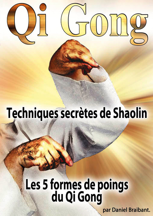 QI GONG TECHNIQUES SECRETES DE SHAOLIN