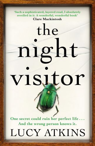The Night Visitor