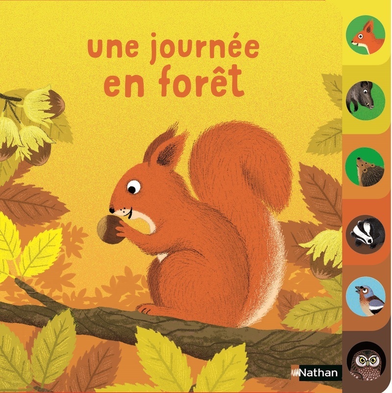 Une journée en forêt