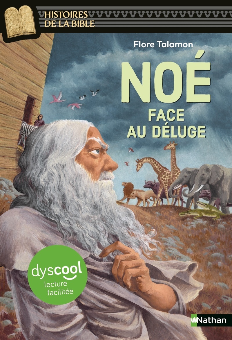 Noé face au déluge - Dyscool
