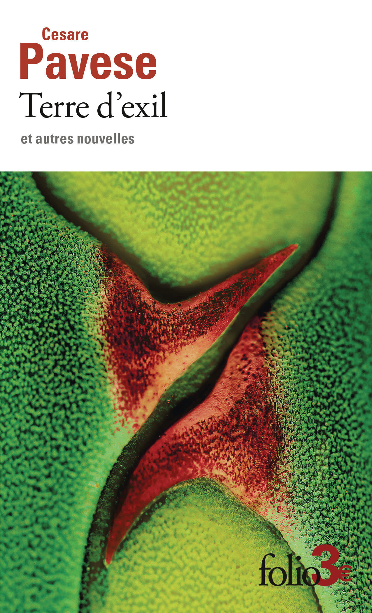 Terre d'exil et autres nouvelles