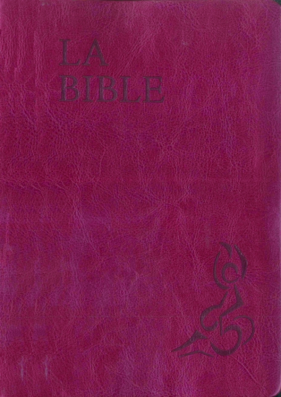 La Bible Parole de vie - Bordeaux, similicuir, grand format, semi-rigide, illustrée par Annie Vallot