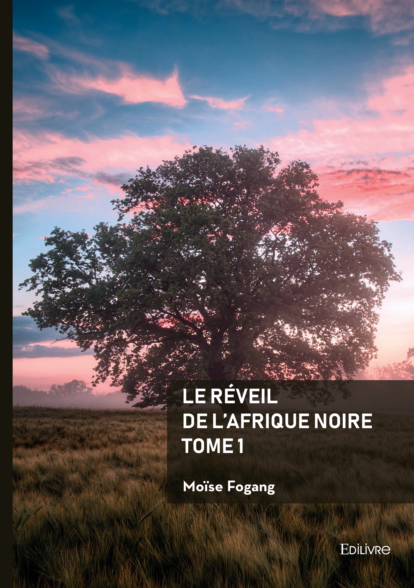 Le réveil de l'Afrique noire - Tome 1
