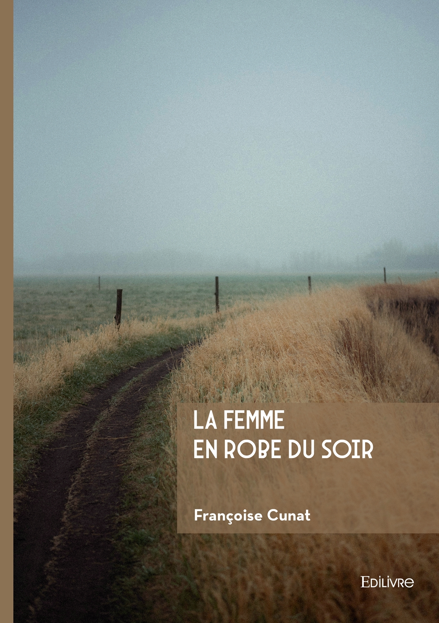 La femme en robe du soir